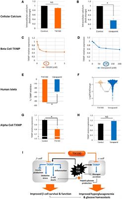 A novel class of oral, non-immunosuppressive, beta cell-targeting, TXNIP-inhibiting T1D drugs is emerging